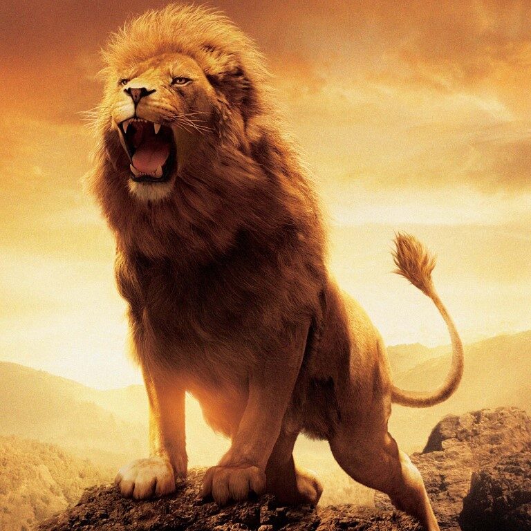 Why the Name Aslan Roars? – Aslan Roars